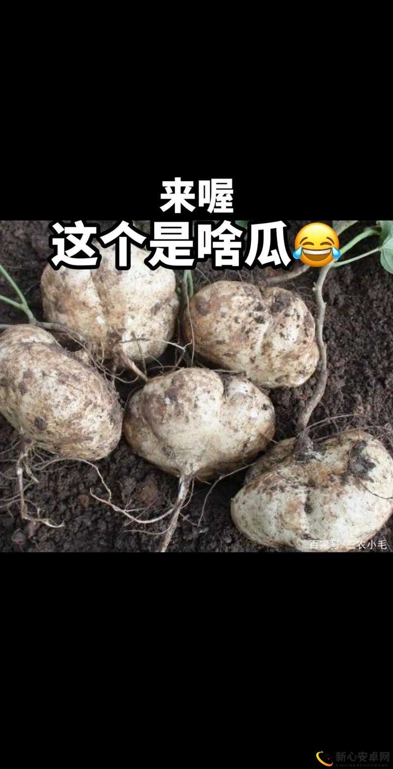 51 今日大瓜热门大瓜莫里秀：探寻背后不为人知的真相